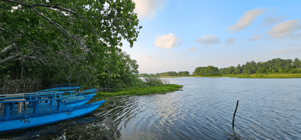 Kalametiya Bird Watching Safari